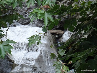 stoleone-09-08-2020 09
